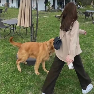 树妖